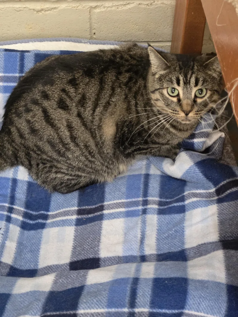 Margarita thumbnail 3