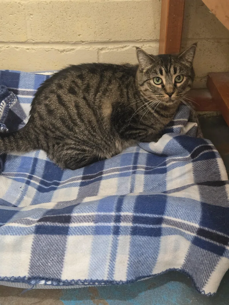 Margarita thumbnail 4