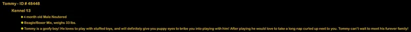 Rigatoni thumbnail 5