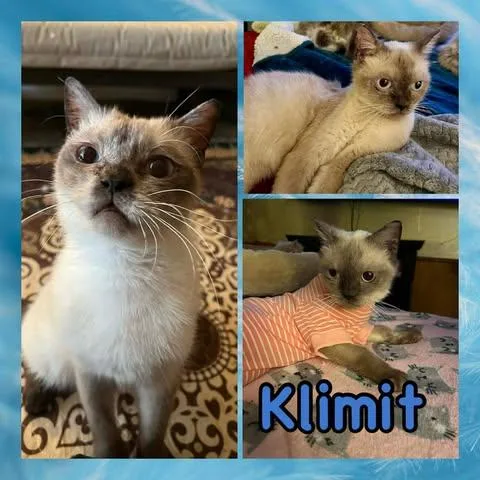 Klimit thumbnail 3