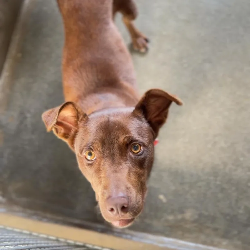 Cadbury A thumbnail 2