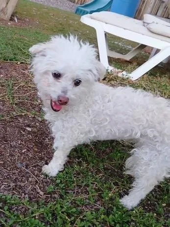Tovah