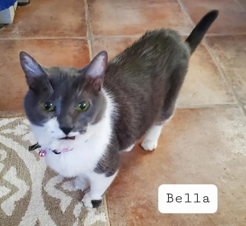 Bella