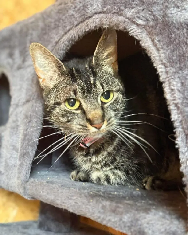 Jaina And August thumbnail 2