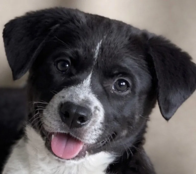 Mckenzie thumbnail 2