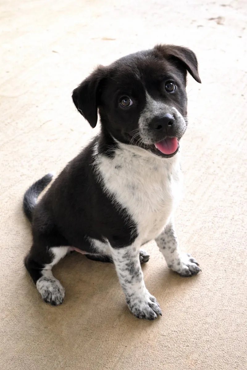 Mckenzie thumbnail 3