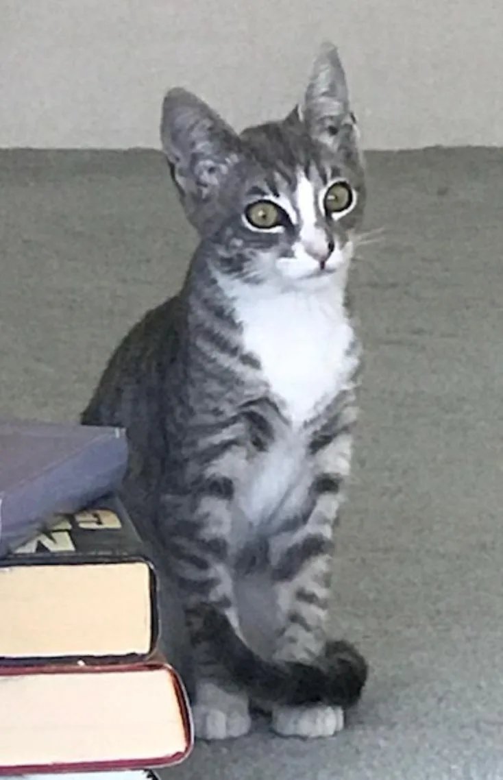 Bootsie thumbnail 2