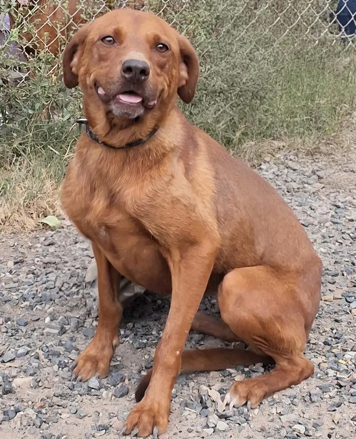 Roxy