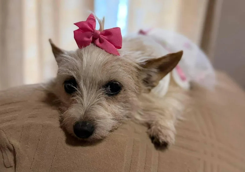 Lilly C.   thumbnail 2