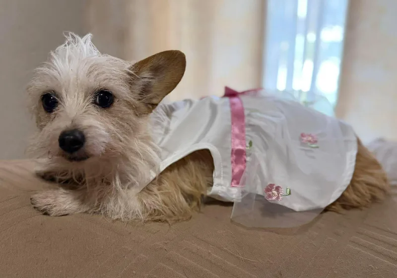 Lilly C.   thumbnail 3