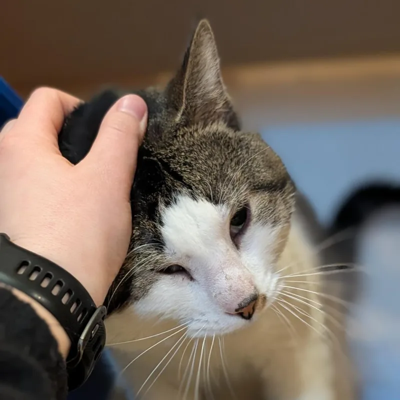 Likeable Sand thumbnail 2