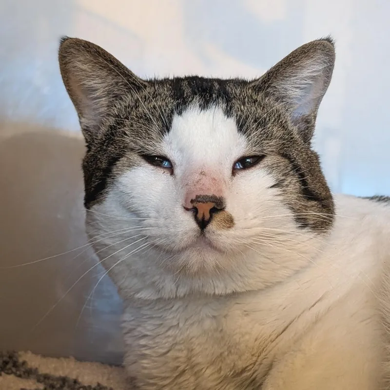 Likeable Sand thumbnail 3