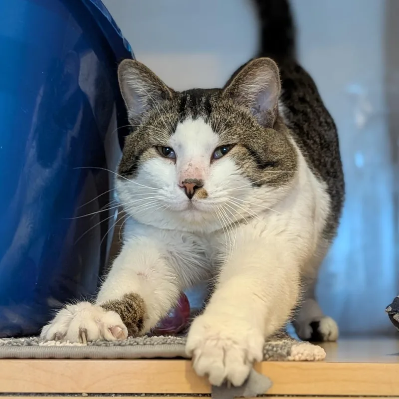 Likeable Sand thumbnail 4