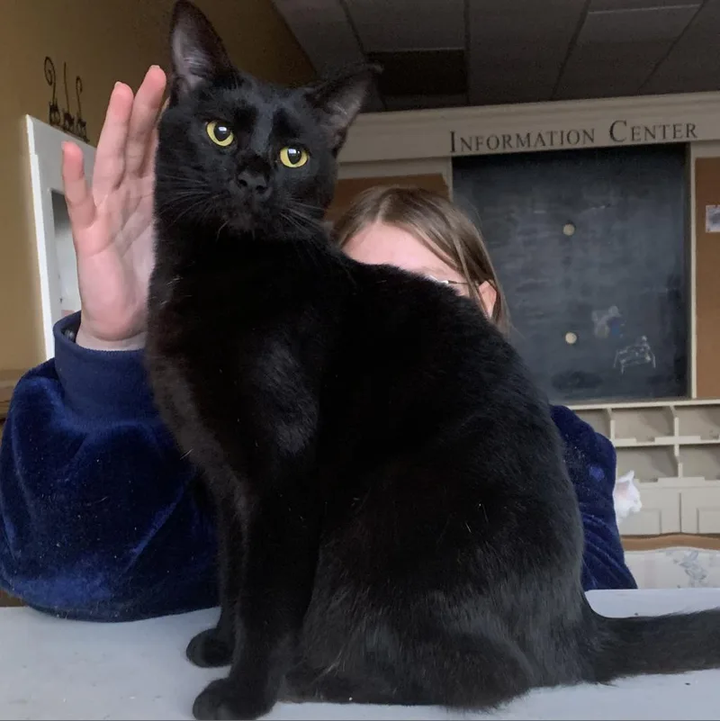 Axel  Damon thumbnail 2