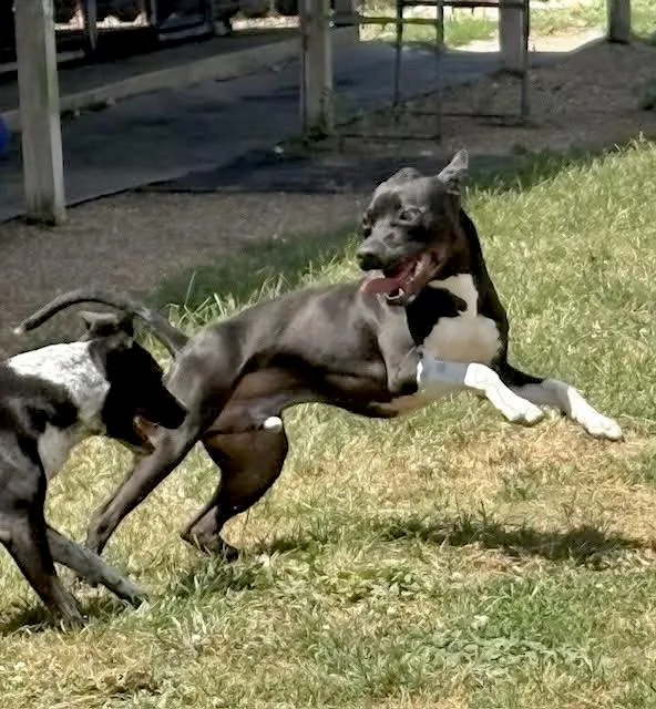 Mickey D thumbnail 4