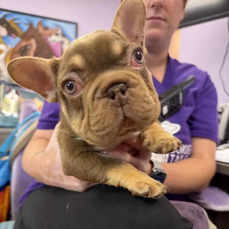 Taffy