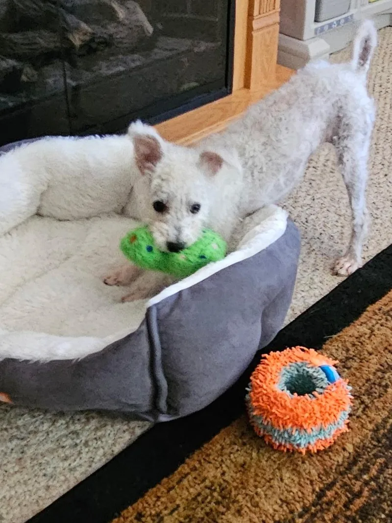 Darla thumbnail 3