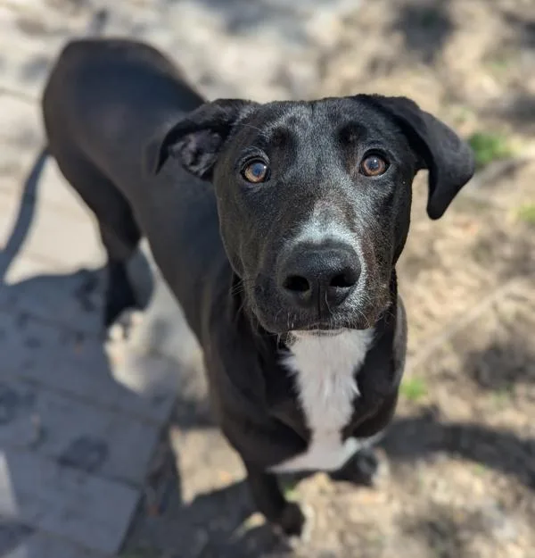 Big Jimbo thumbnail 2