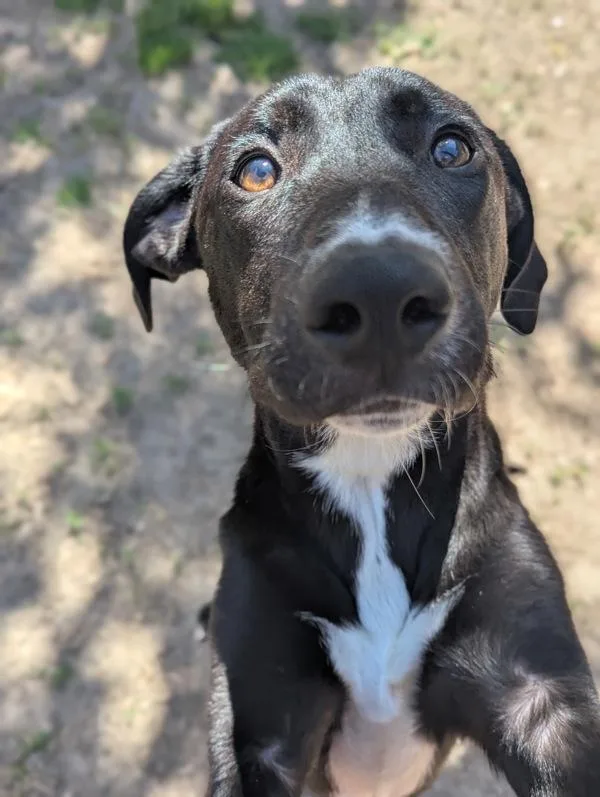 Big Jimbo thumbnail 3