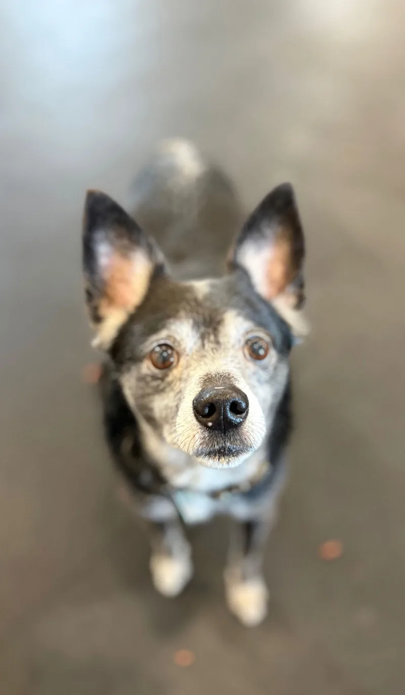 Max Scared And Sad thumbnail 2