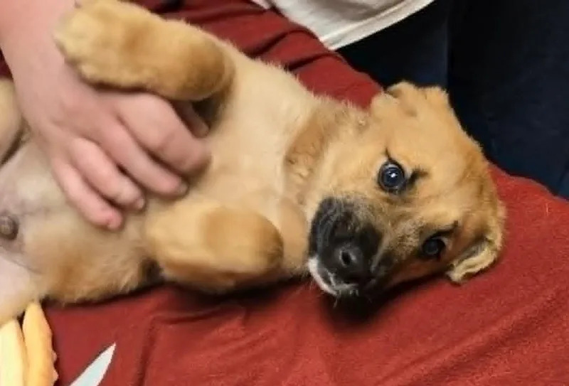Benny