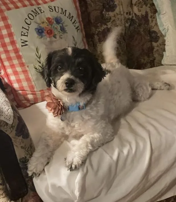 Sunshine thumbnail 2