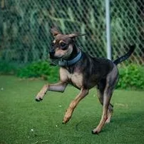 John Boy thumbnail 5