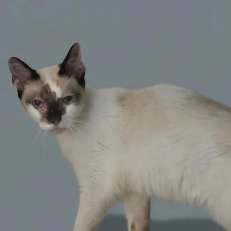 Parker thumbnail 2