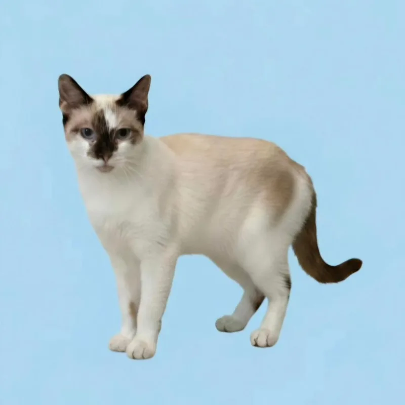 Parker thumbnail 3