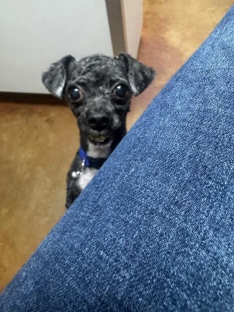 Luke