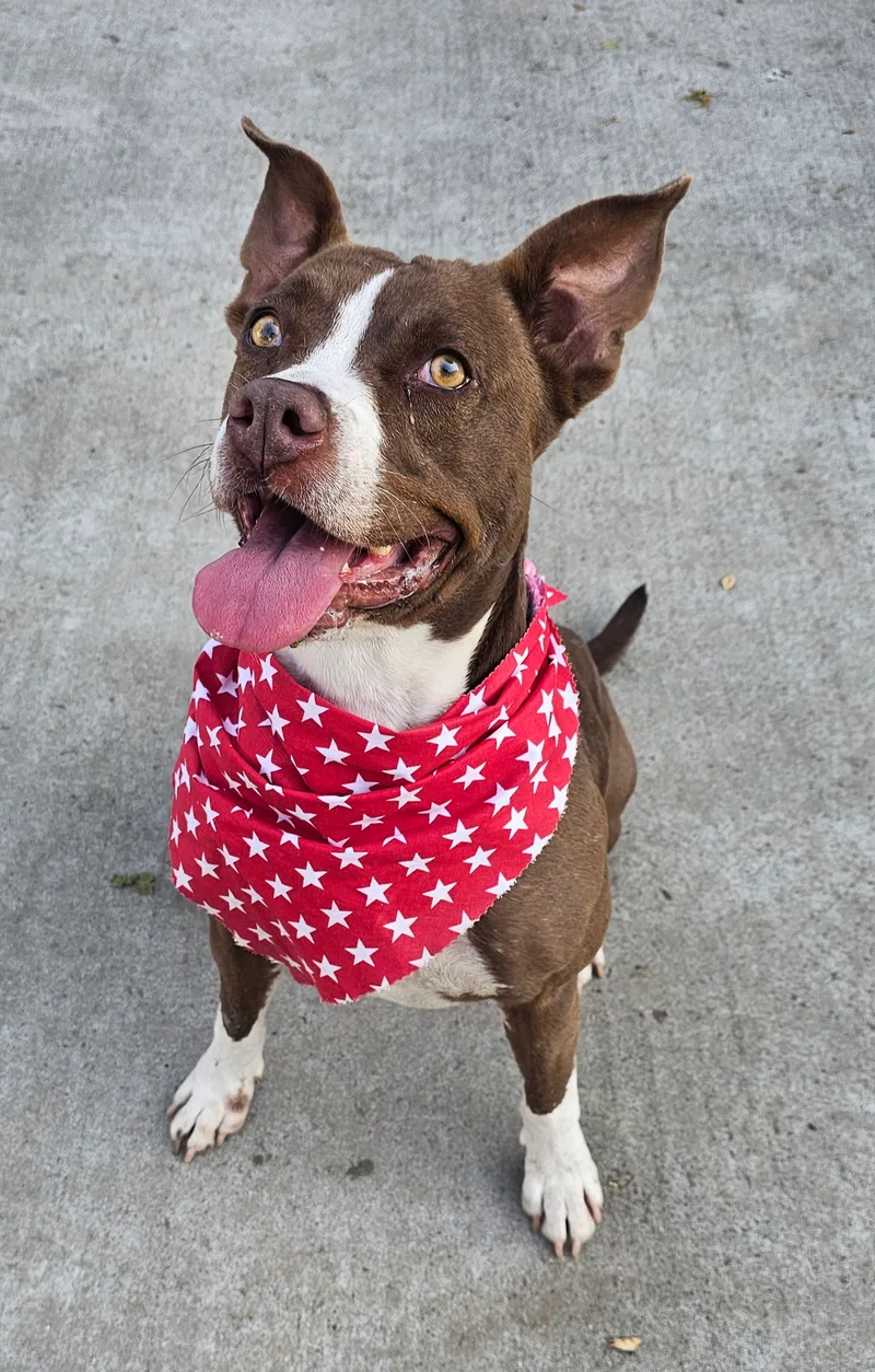 Cute Clara!! thumbnail 2