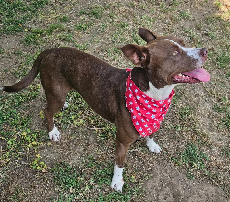 Cute Clara!! thumbnail 3