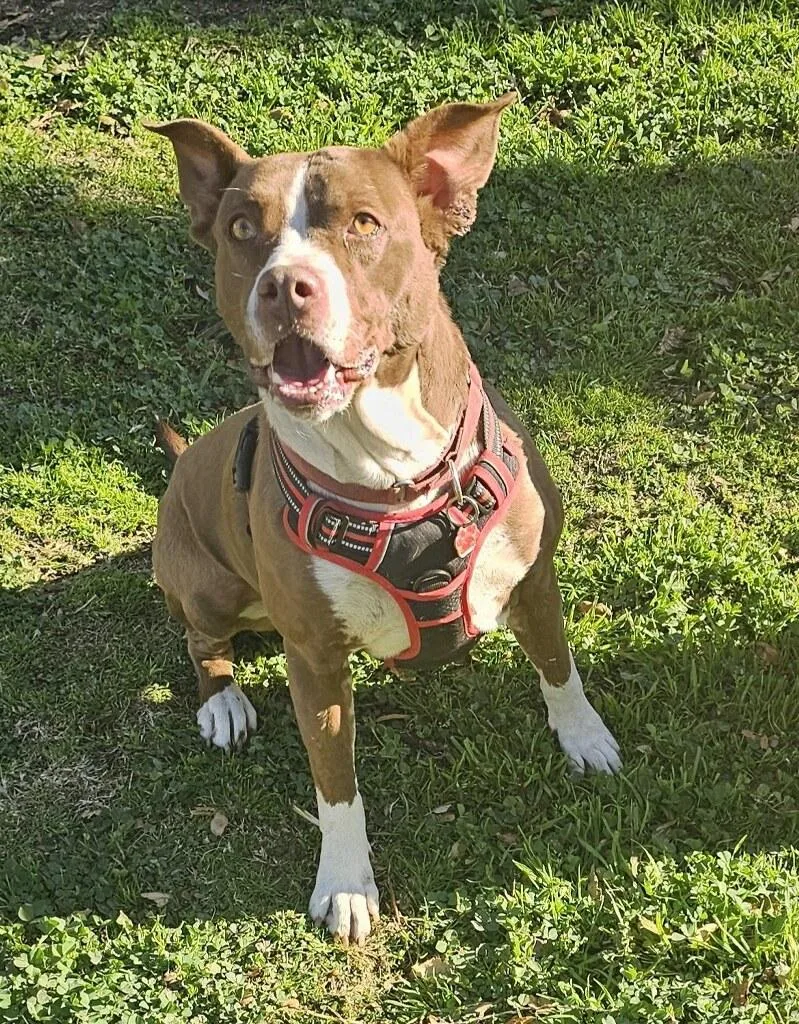 Cute Clara!! thumbnail 5