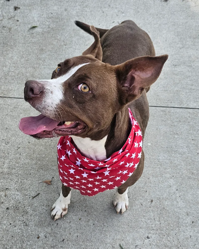 Cute Clara!! thumbnail 6