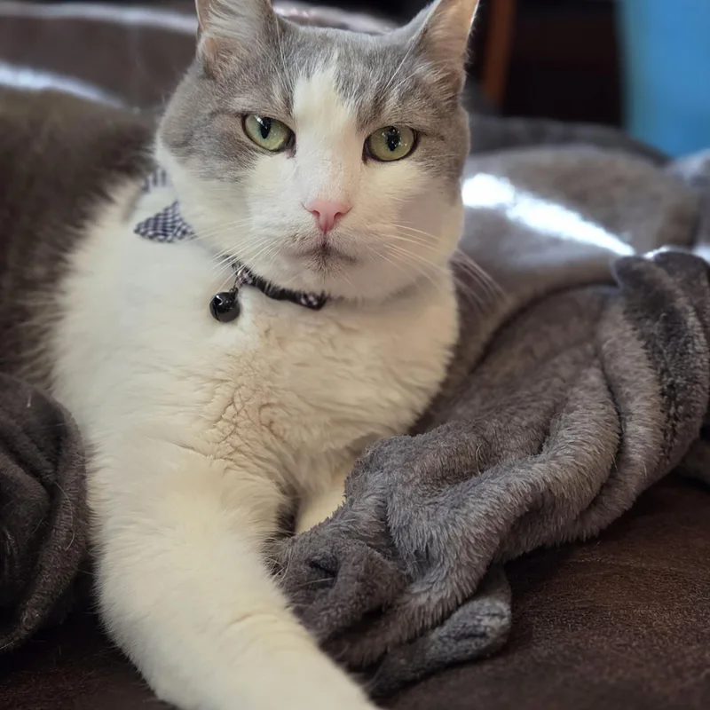 Watson thumbnail 4