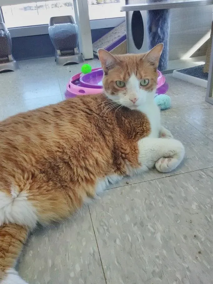 Lonnie Aka Alani thumbnail 2