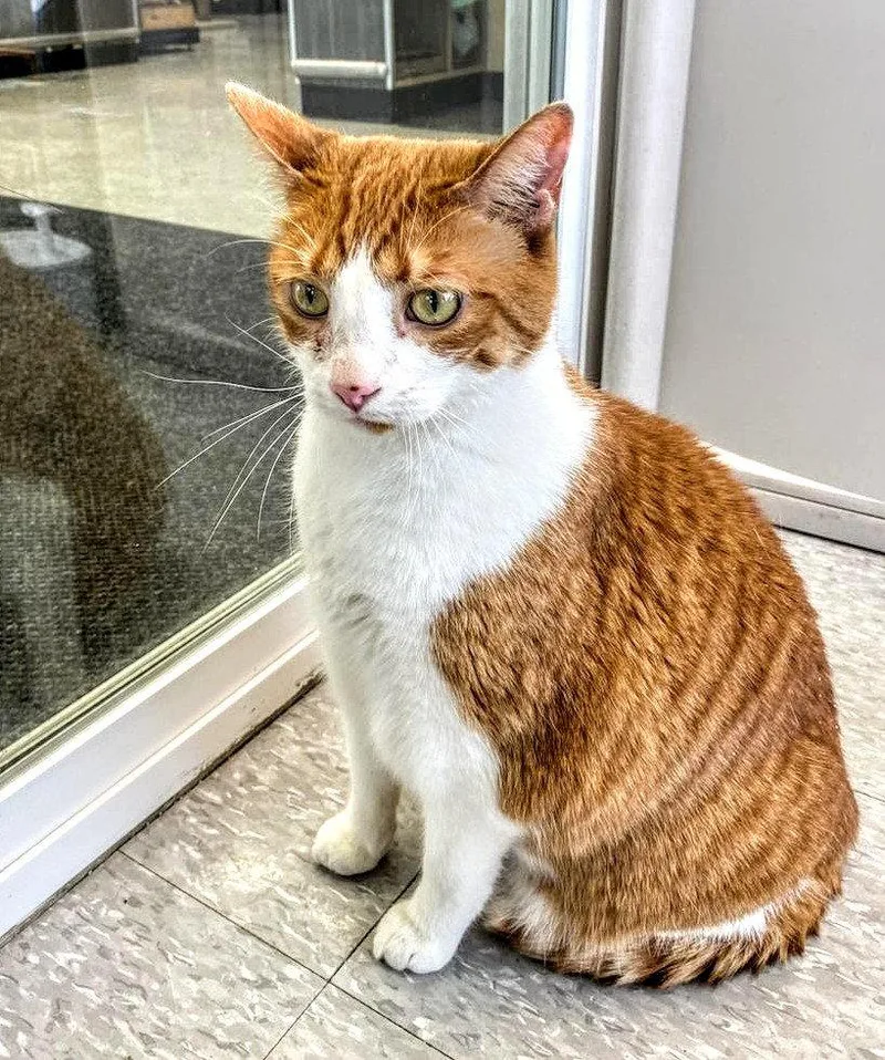 Lonnie Aka Alani thumbnail 3