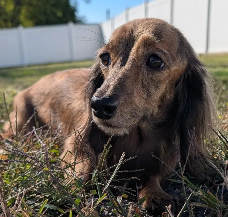 Nina in TN thumbnail 6