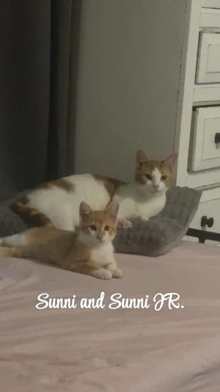 Sunni Jr thumbnail 2