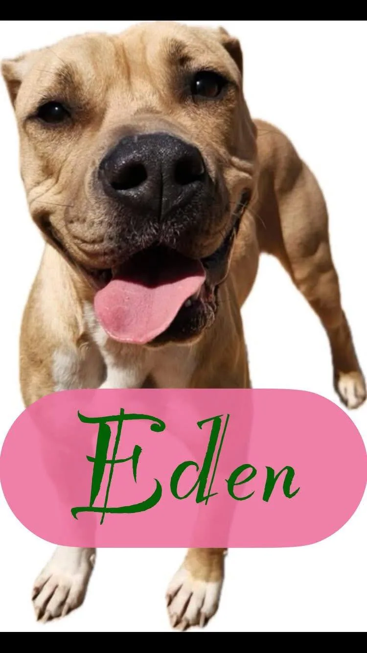Eden thumbnail 6