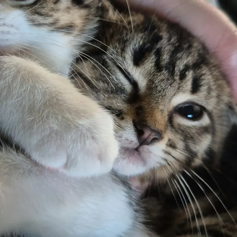 George thumbnail 2