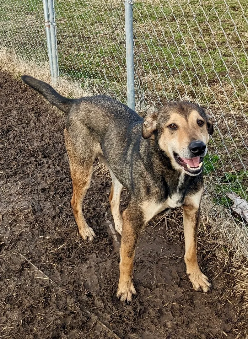 Jackson Brown thumbnail 3