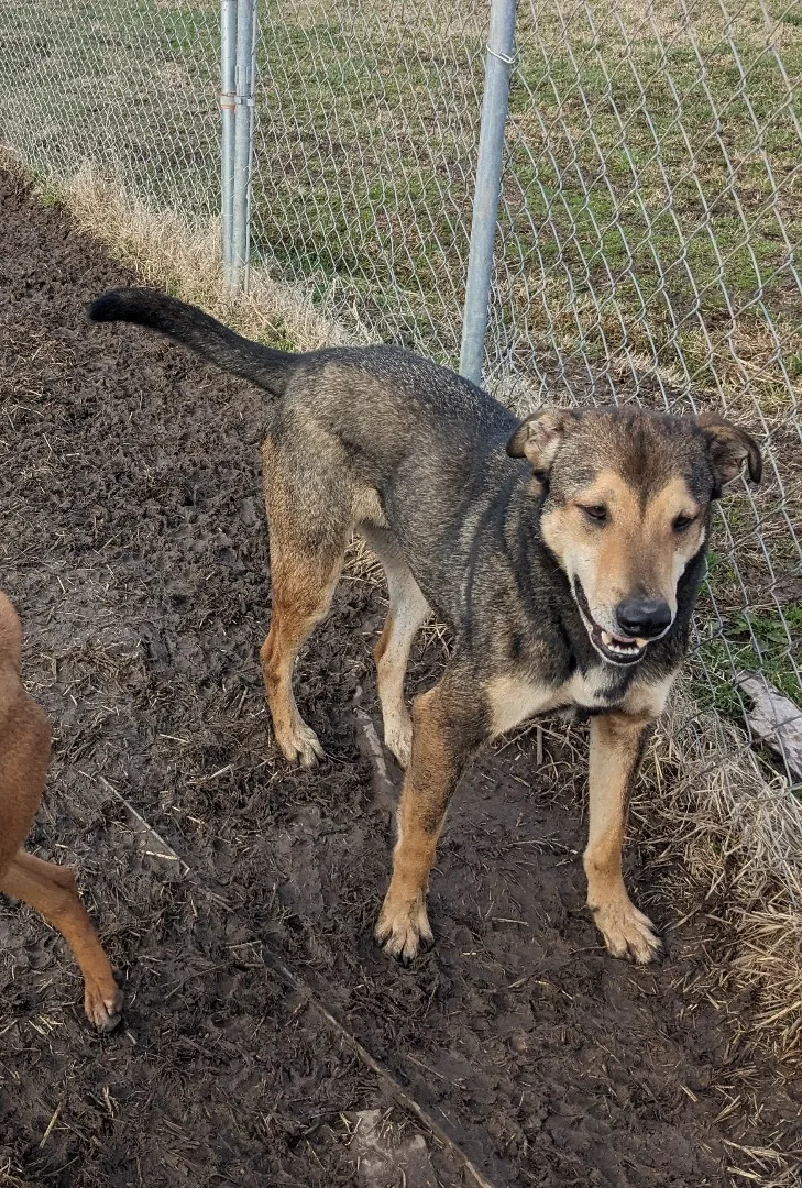 Jackson Brown thumbnail 4