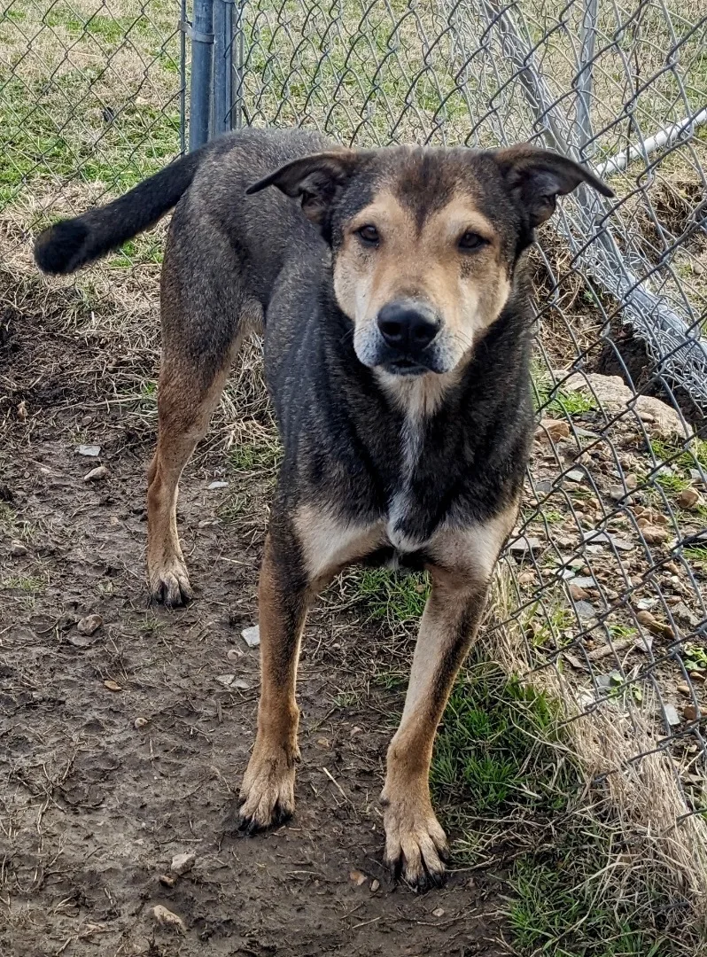 Jackson Brown thumbnail 5