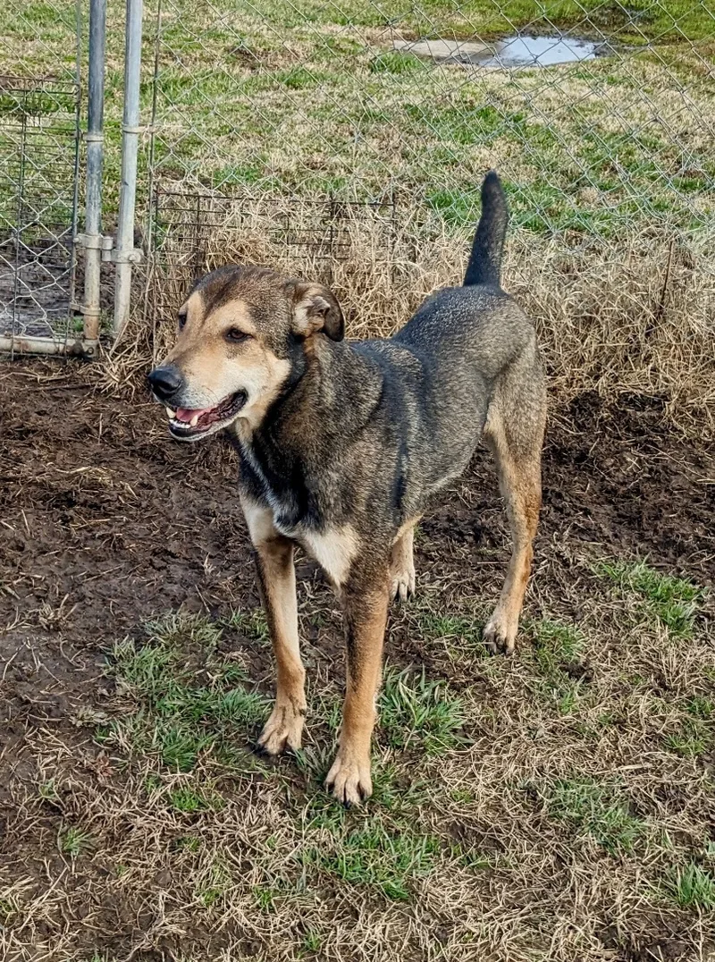 Jackson Brown thumbnail 6