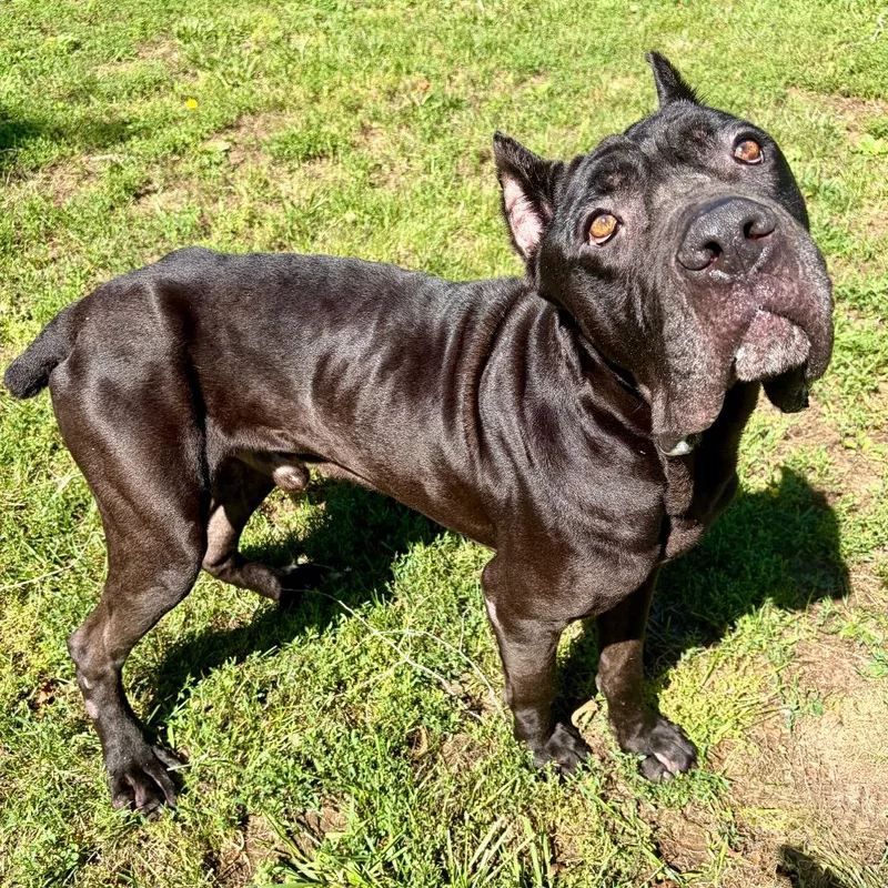 Ernie