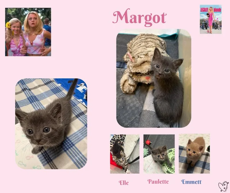 Margot thumbnail 4