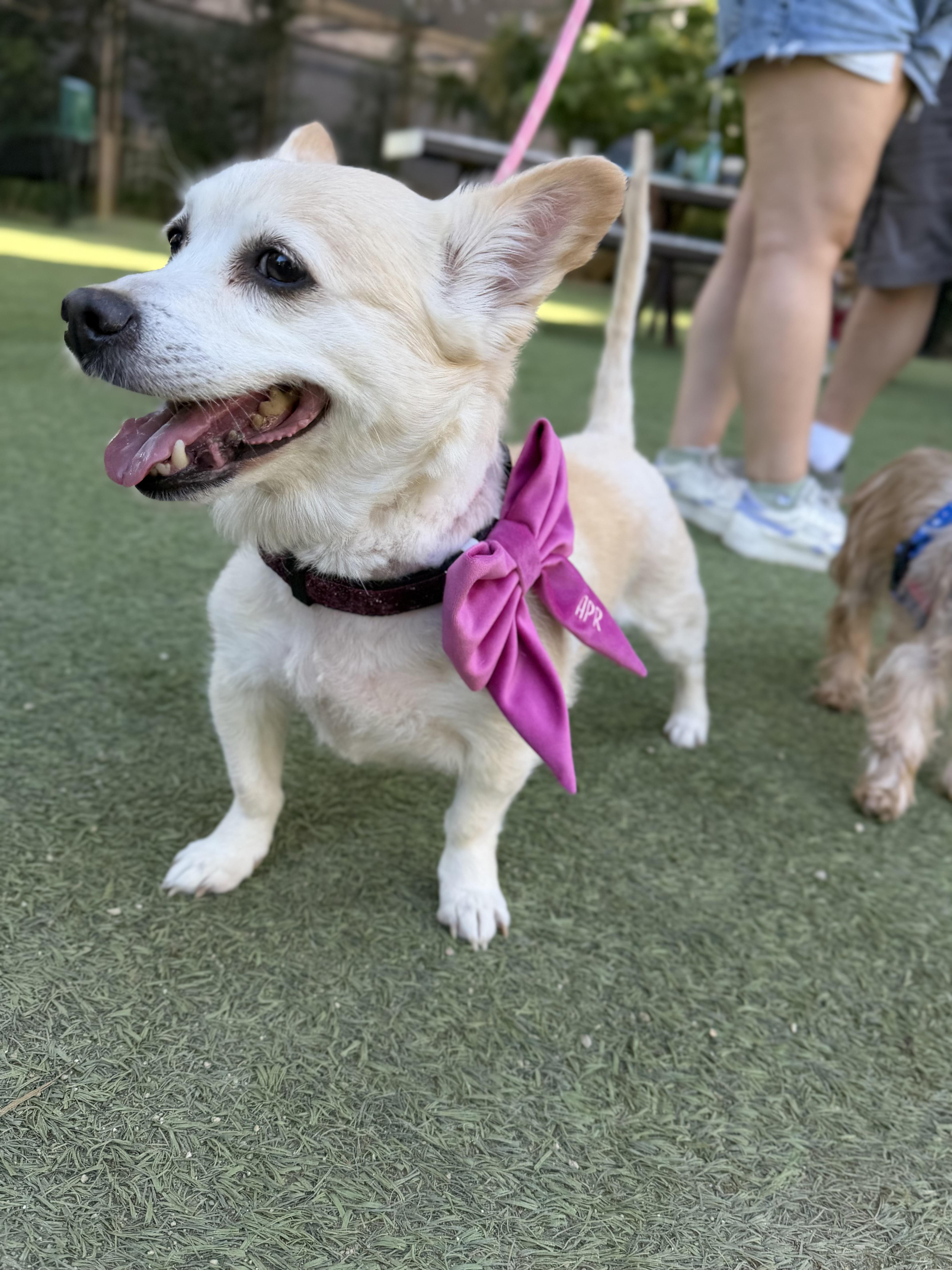 Cindy Crawford thumbnail 2