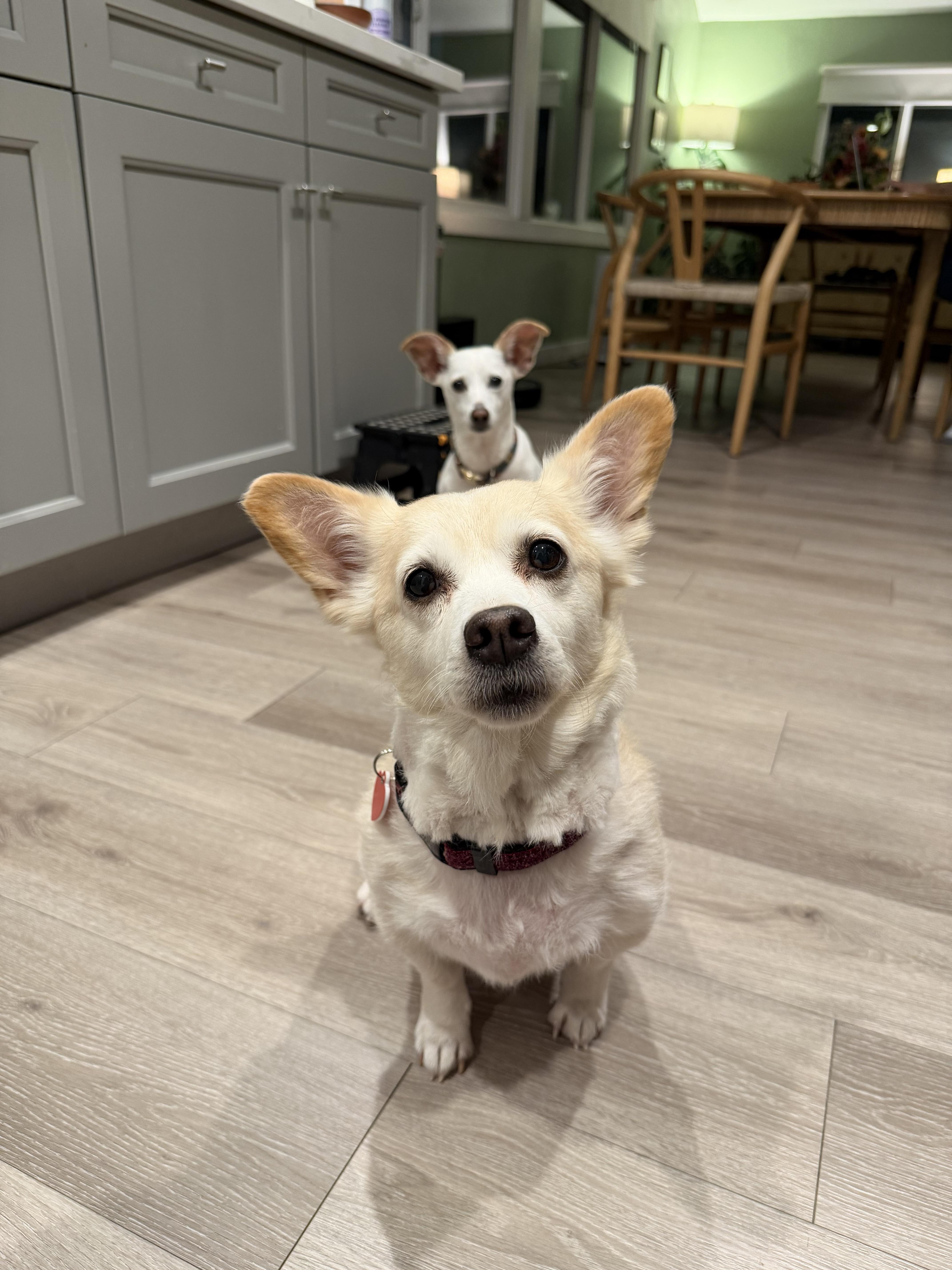 Cindy Crawford thumbnail 3