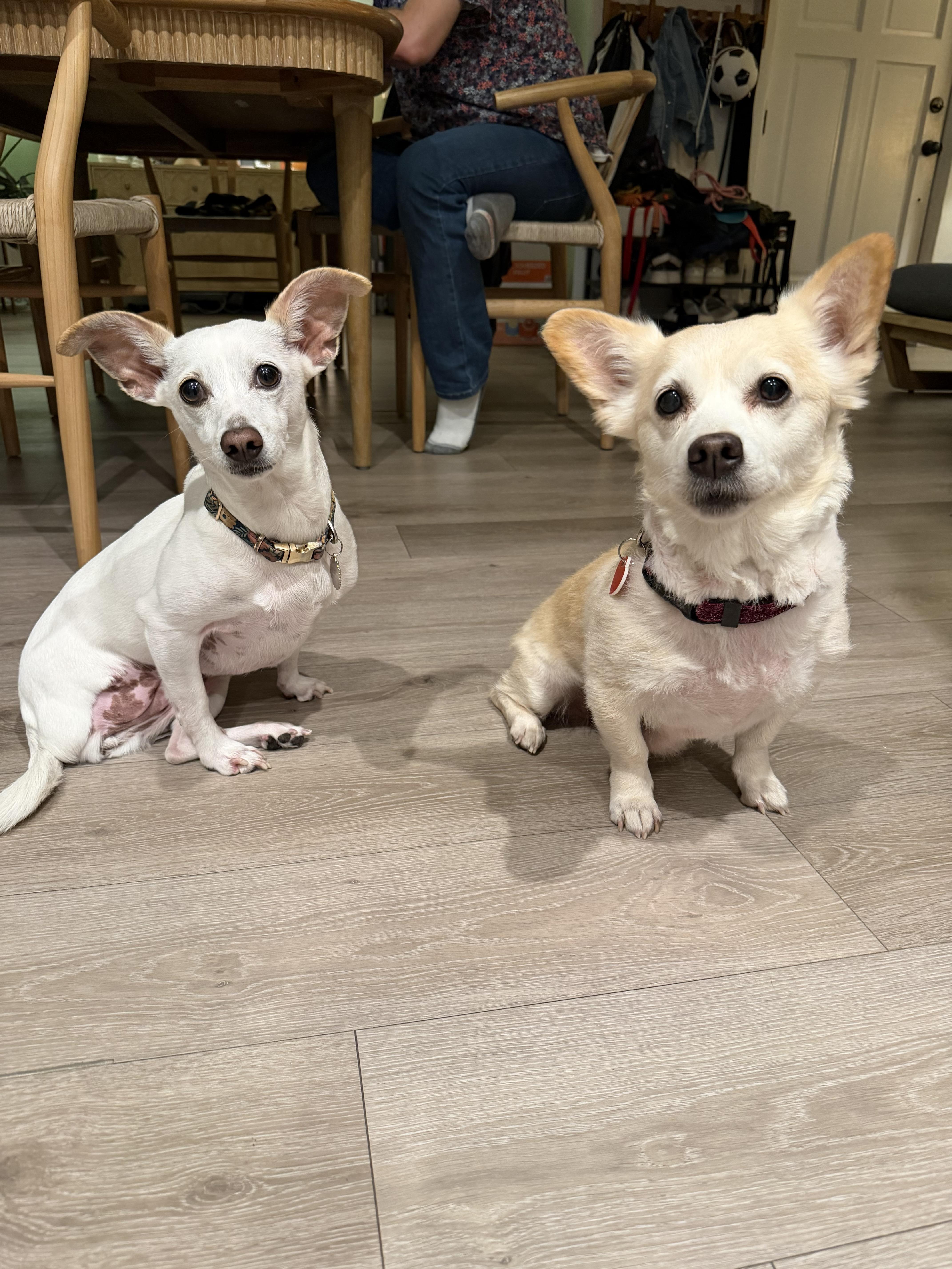 Cindy Crawford thumbnail 4